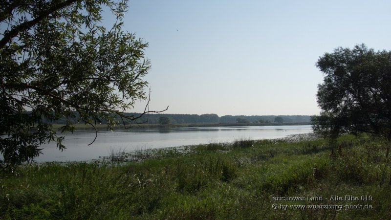 Jerichower Land - Alte Elbe 019.jpg
