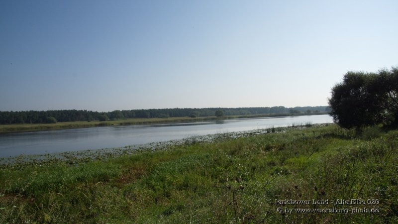 Jerichower Land - Alte Elbe 020.jpg
