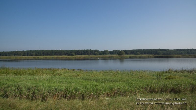 Jerichower Land - Alte Elbe 021.jpg