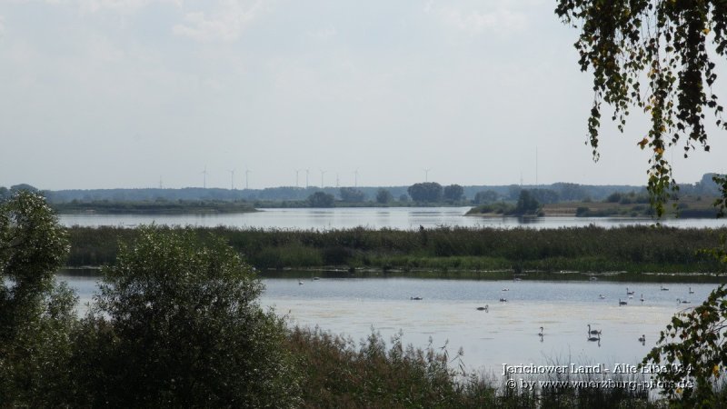 Jerichower Land - Alte Elbe 034.jpg
