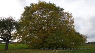 g12/03/7303/3/171303858.GiRHaRBd.jpg