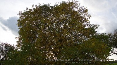 g12/03/7303/3/171303951.eHvM321f.jpg