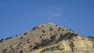 Israel - Mount Precipice 001.jpg