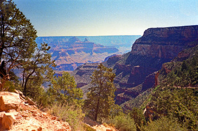 Grand Canyon, Brice, Zion National Parks 1999