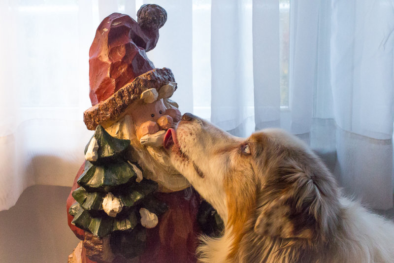 A Kiss For Santa