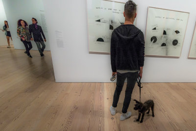 A Dog in a Museum?