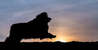 Jumping Over the Setting Sun
