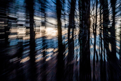 Traveling Through the Forest at Warp Speed