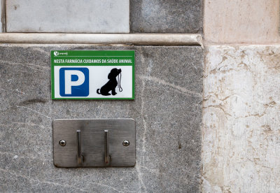 Lisbon, A Dog Friendly City