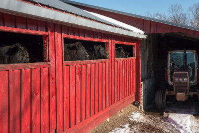 Lines in a Big Red Barn