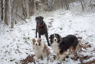 Della, Eustace and Tug