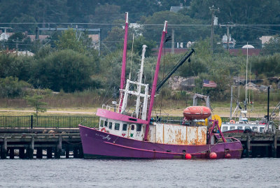 The Purple Boat