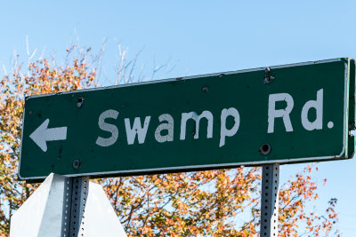 Swamp Road