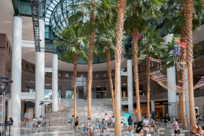 Palm Trees in New York City?