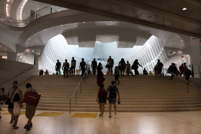 Up The Steps and Into The Oculus