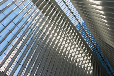 The Skylight at The Oculus