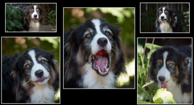 The Many Faces of Tug