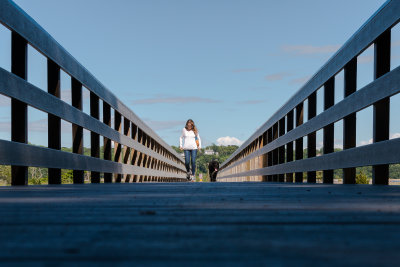 Lines Leading to a Dog Walker