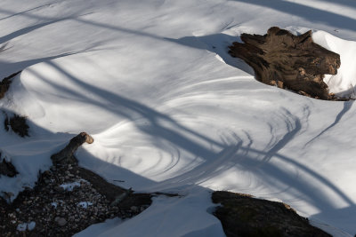 Swirls in the Snow