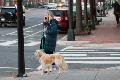 Did She Get the Highlights to Match the Dog?