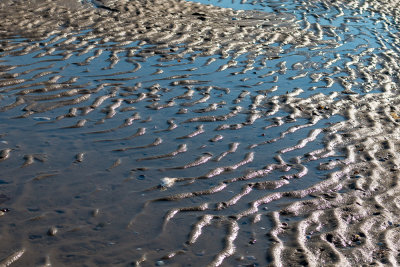 Wintertime Lines In The Sand