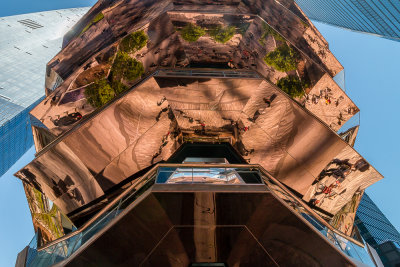 Reflection of Trees in The Vessel