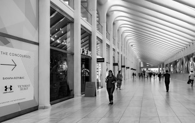 Lines at the Concourse 