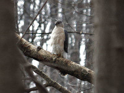 DSCF4390.JPG