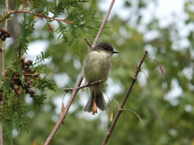 DSCF4671.JPG