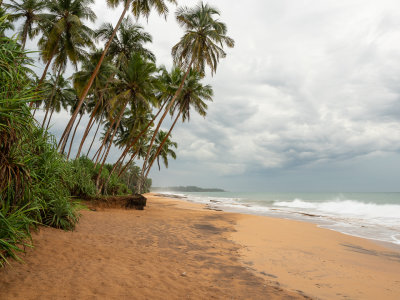 Sri Lanka 2019