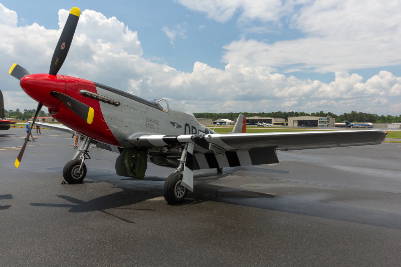 P-51 Mustang, Red Nose