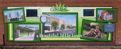 Cedartown Mural