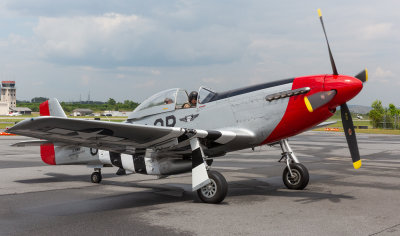 P-51 Mustang, Red Nose