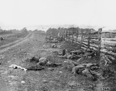 Confederate Dead, Hagerstown Pike
