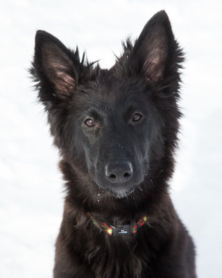 20190210_1DX0075-2.jpg