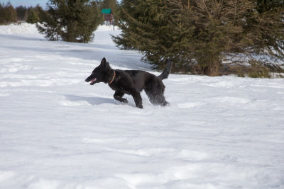 20190210_1DX0138.jpg