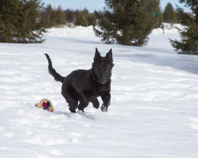 20190210_1DX0150.jpg