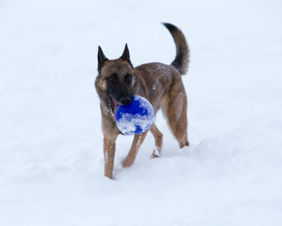 20190213_1DX0198.jpg