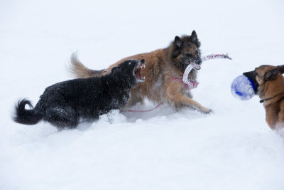 20190213_1DX0207.jpg
