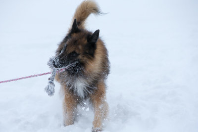20190213_1DX0213.jpg
