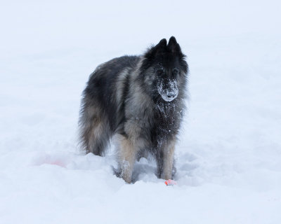 20190213_1DX0230.jpg