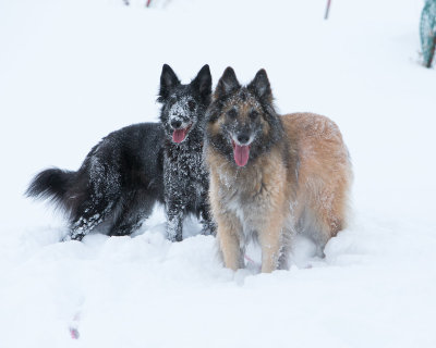 20190213_1DX0246.jpg