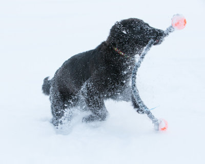 20190213_1DX0301.jpg