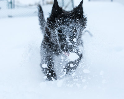 20190213_1DX0308.jpg