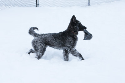 20190213_1DX0369.jpg