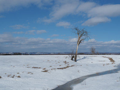 20190316_1DX0509.JPG