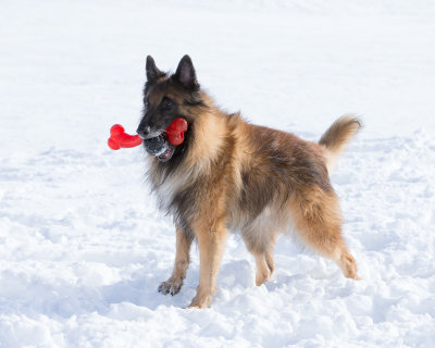 20190216_1DX0418.jpg