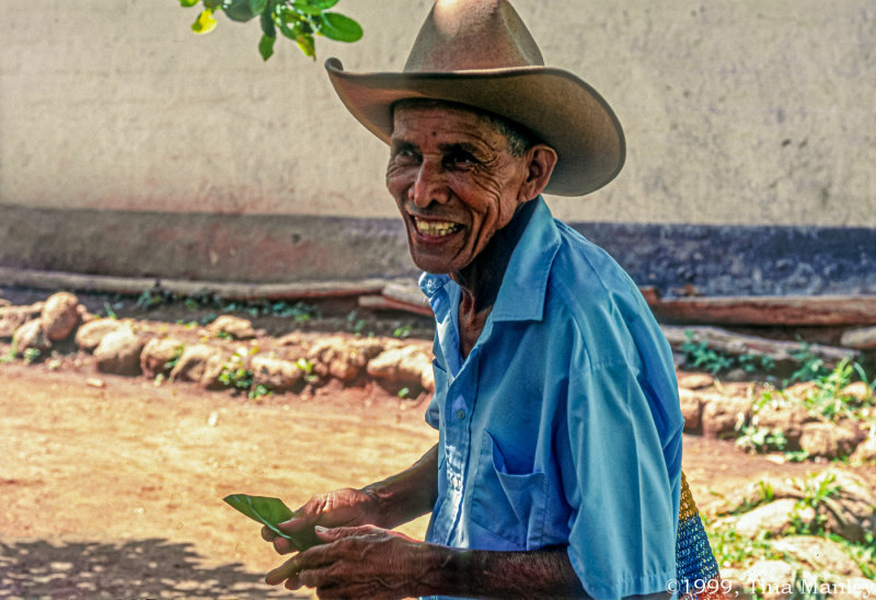 Rogelio Peraza, II