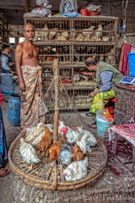 Chicken Shop