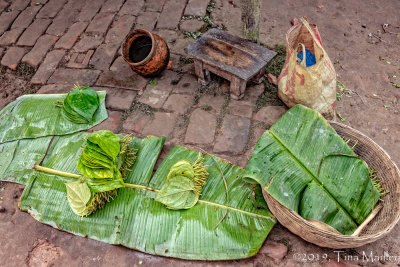 Betel Leaves for Sale